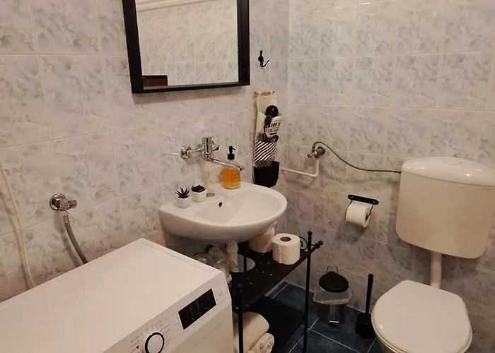 Pavle סובוטיקה